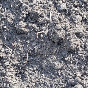Compost